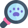search-icon search-icon
